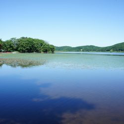 標茶町エリア