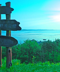 子野日公園高台